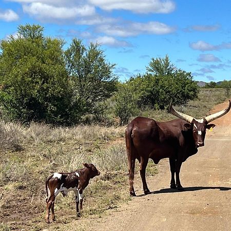 Tzamenkomst River Lodge Colesberg Exteriér fotografie