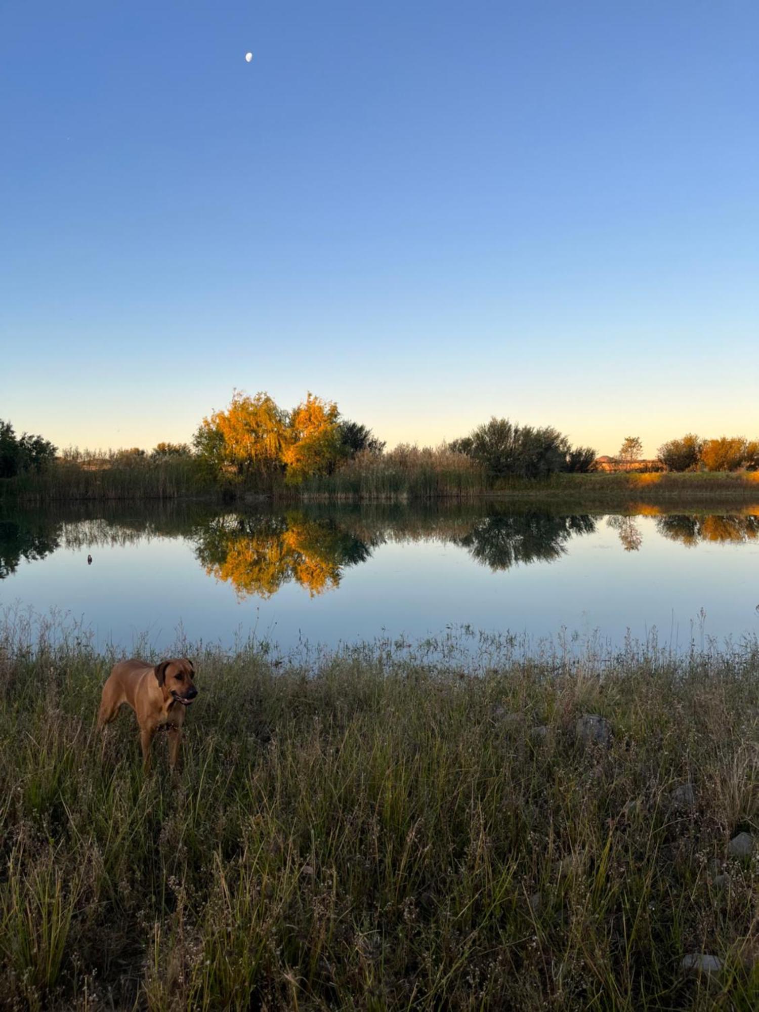 Tzamenkomst River Lodge Colesberg Exteriér fotografie