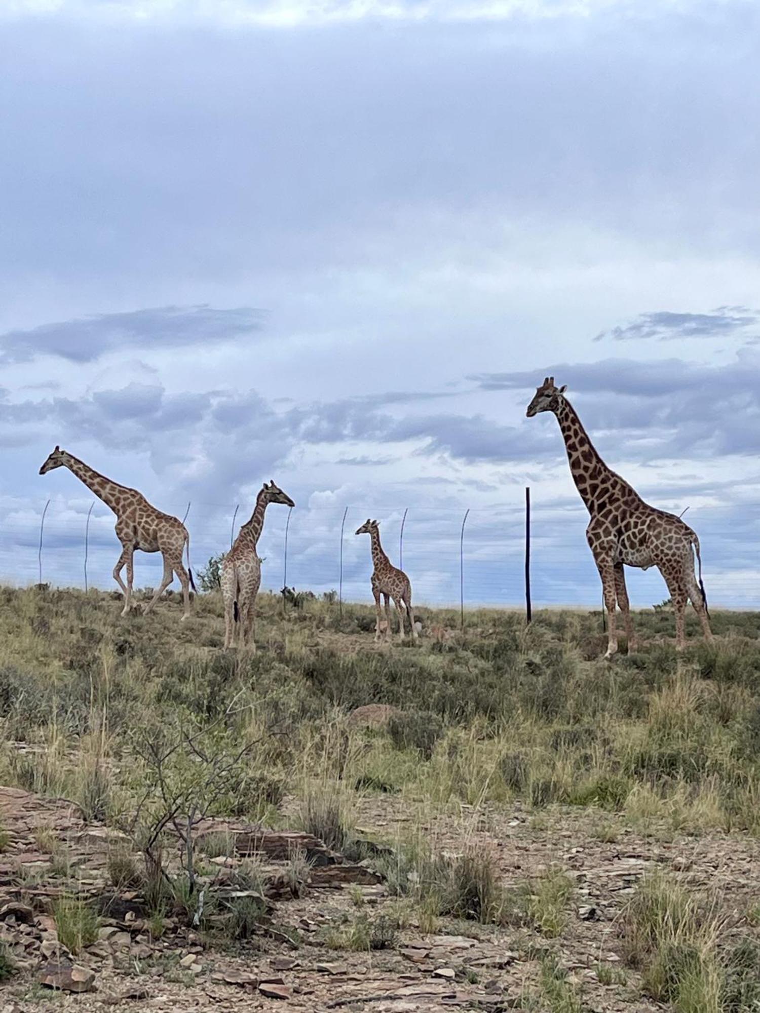 Tzamenkomst River Lodge Colesberg Exteriér fotografie